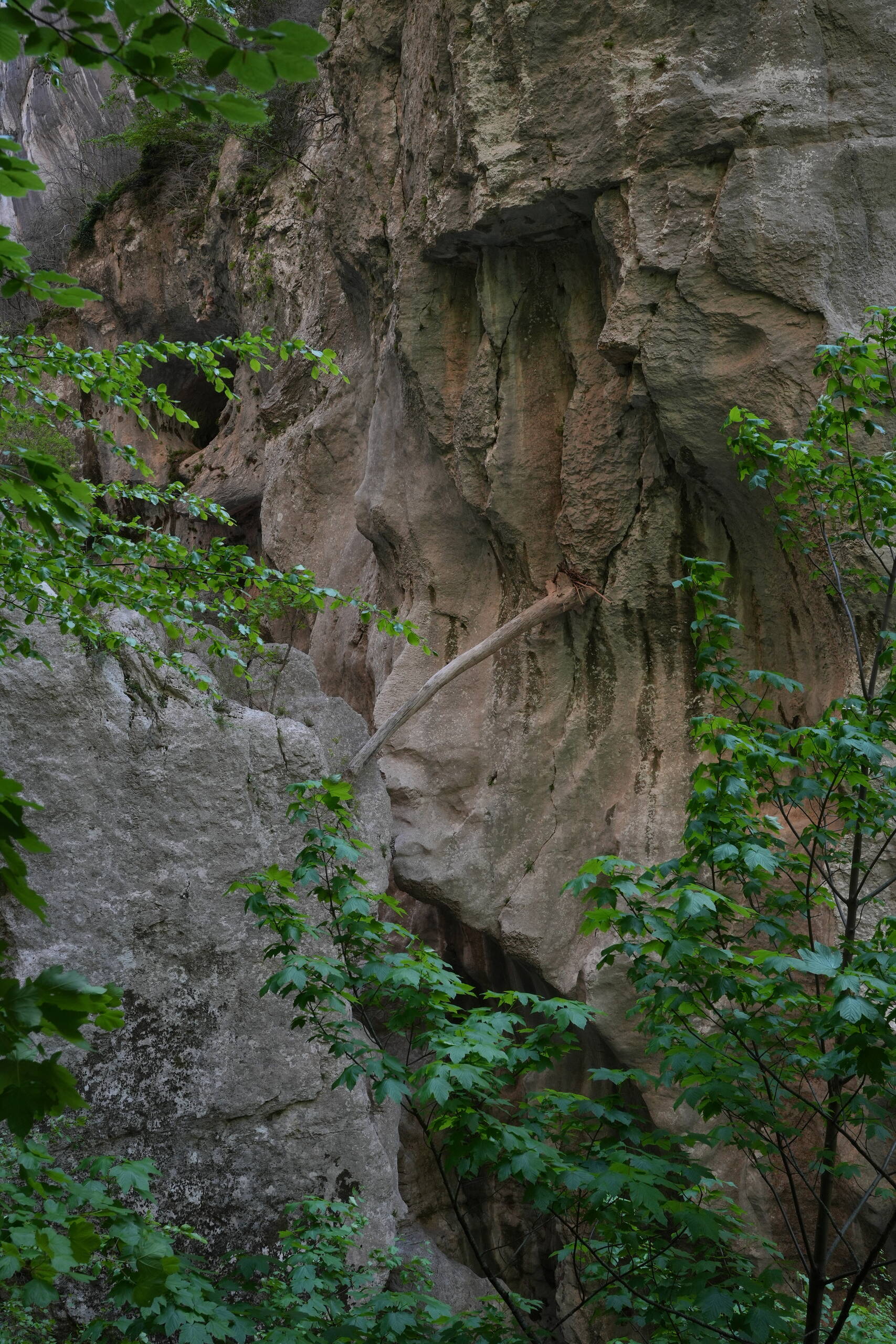 An image of stuck log.